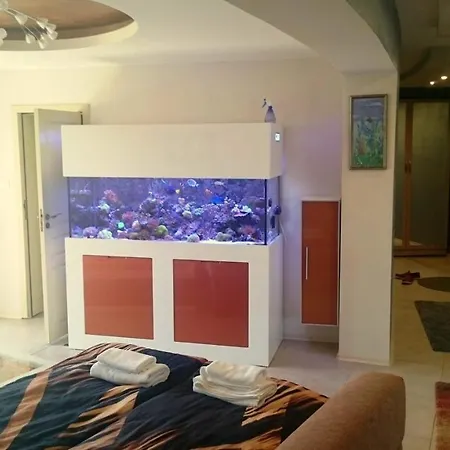 Yassen Village Солнечный берег