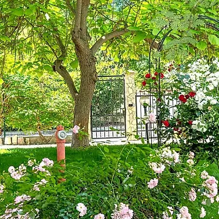 Yassen Village 3*