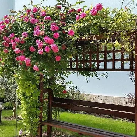 Yassen Village